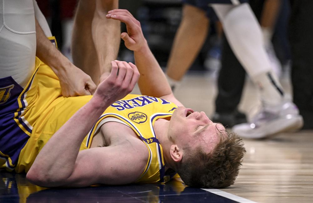 小蜘蛛的违 小蜘蛛的违