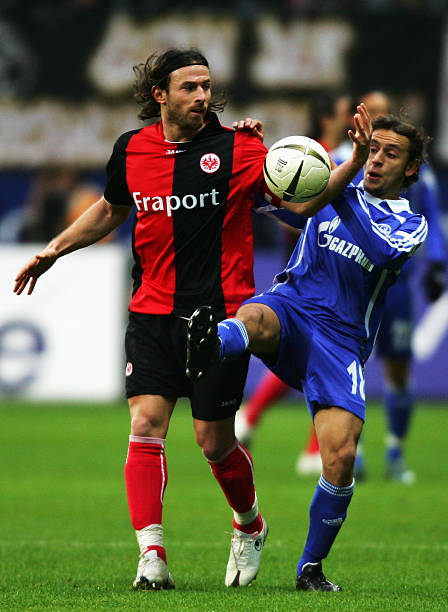 设活动以及 设活动以及